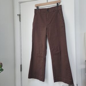 Everlane Chocolate Brown Organic Cotton Pants